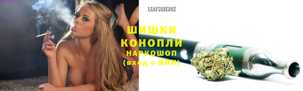 наркотики Белокуриха