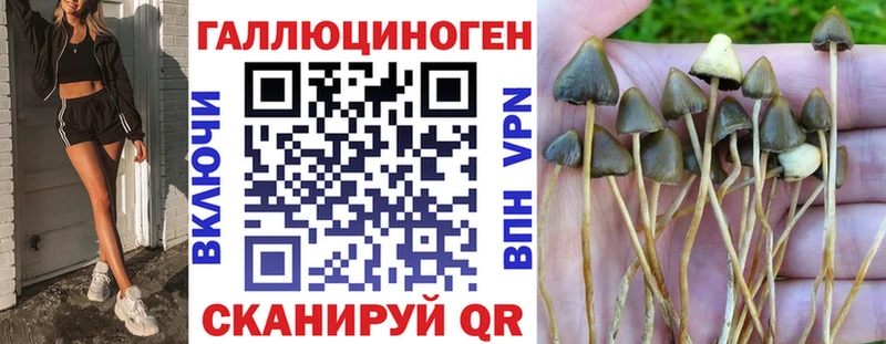 цена   Волосово  Псилоцибиновые грибы ЛСД 